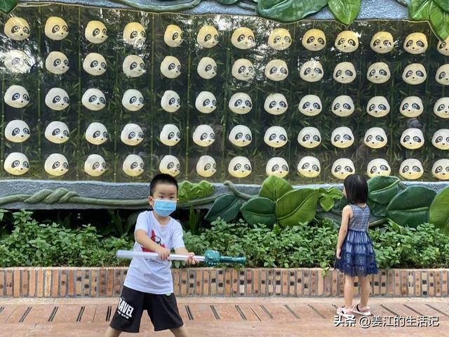 广州长隆好玩吗，广州长隆景区旅游攻略（我们去过最好玩的动物园）