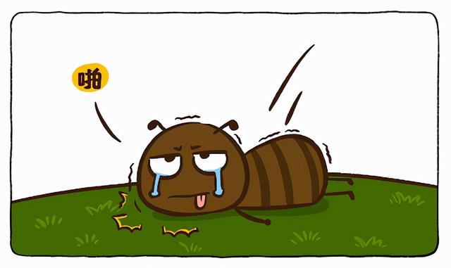 酒精能杀死蚂蚁吗，一只被带去几十公里外的蚂蚁