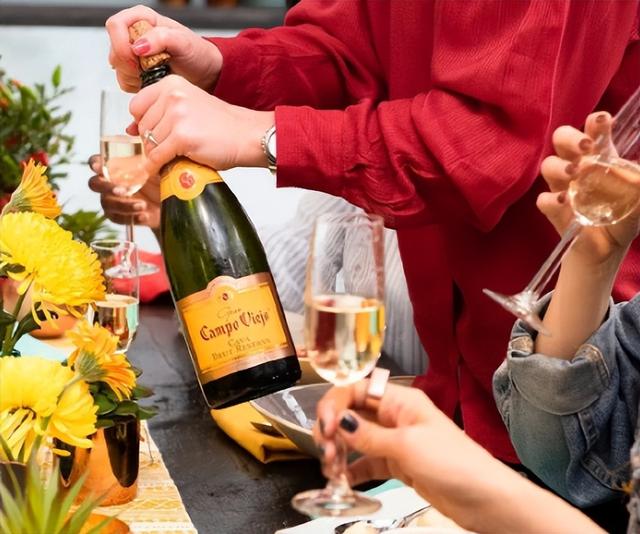 性价比最高的十款红酒，性价比最高的新能源汽车（到底哪个国家的葡萄酒更好喝）