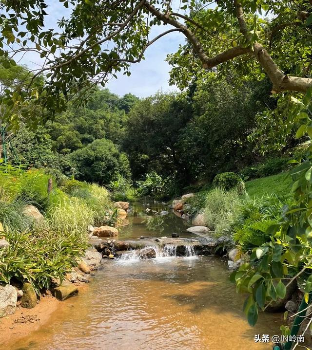 广州徒步登山经典路线，​黄埔秘境在这里