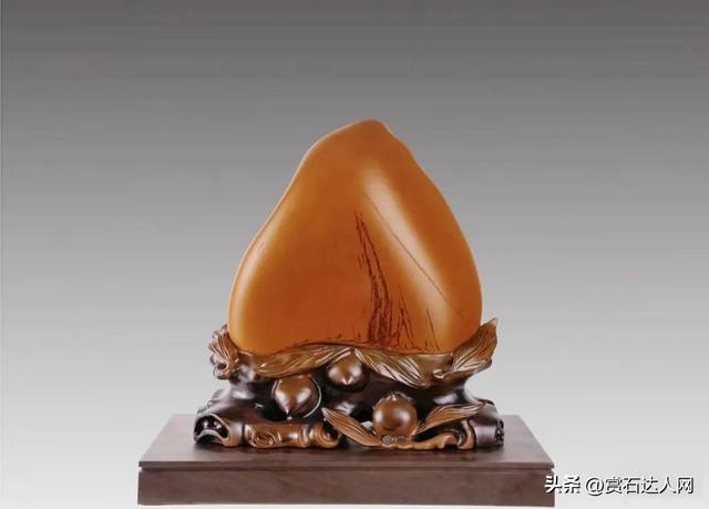 爱的奉献歌曲,《爱的奉献〉歌词(浅谈黄蜡石的观赏与艺术价值)