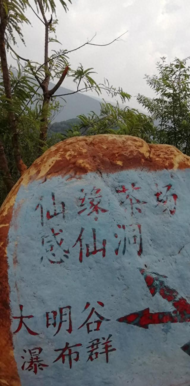 广西大明谷仙缘茶场：山山落秋色，叶叶闻秋声，风起白云薄，