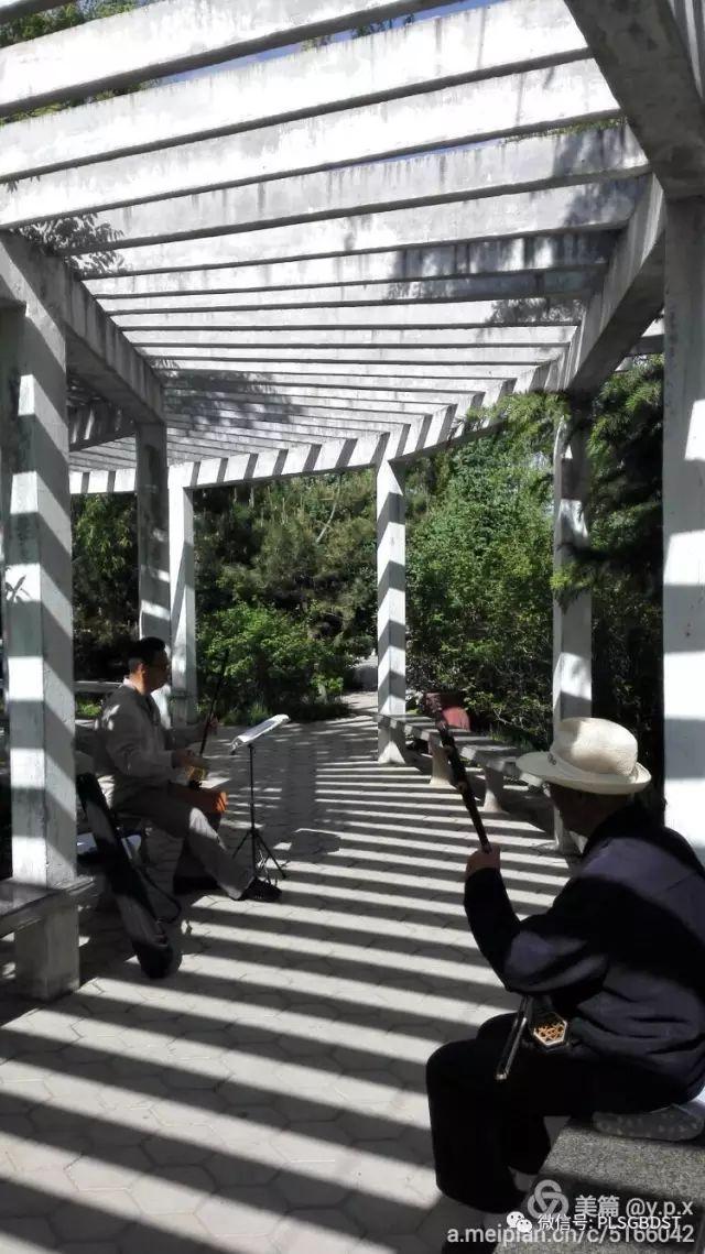南山公园在哪里，深圳大南山公园开放时间（这是你们熟悉的那个南山公园吗）