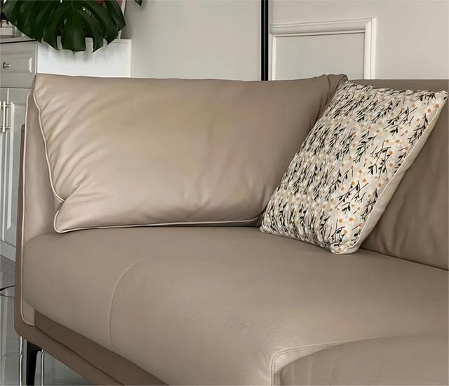 科技布和真皮哪个好，真皮沙发和科技布沙发哪个质量好（科技布沙发到底是不是“智商税”）