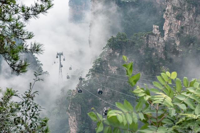 张家界要几天合适，张家界旅游需要几天（张家界不踩雷旅游攻略）