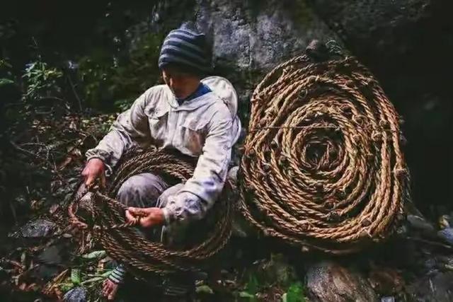 一般燕窝的价格多少钱一克，燕窝通常多少钱一克（儿子却上工地也不学采燕窝）