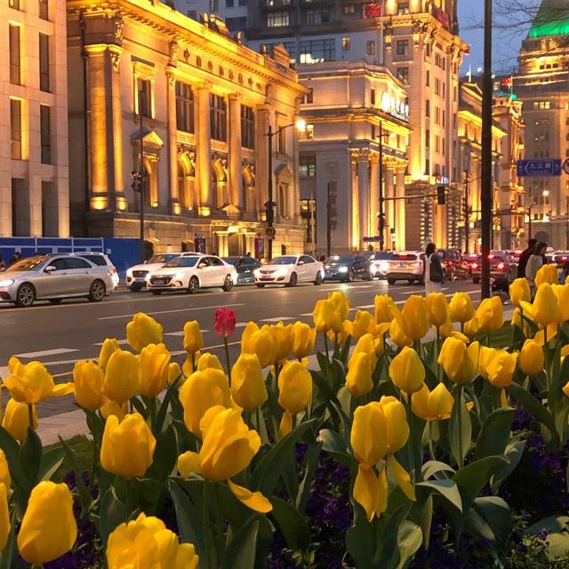 朋友圈图片，朋友圈图片折叠是怎么回事（分享一些治愈又个性的朋友圈背景图）