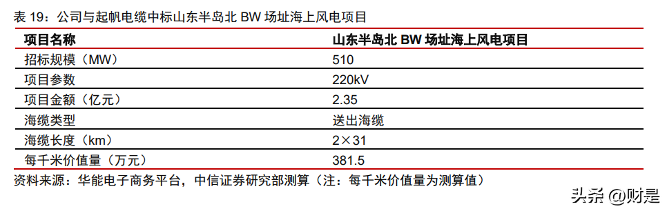 宝胜电缆（宝胜股份研究报告）