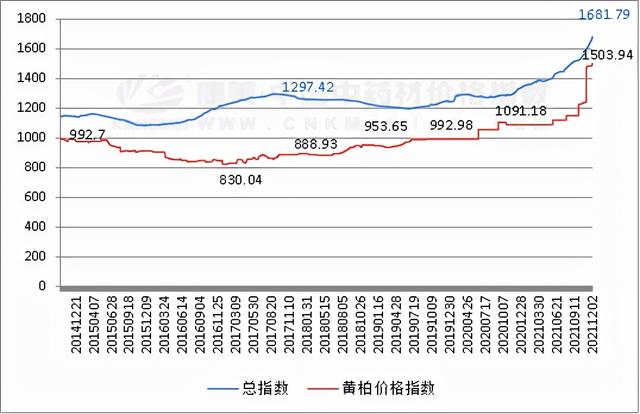 黄柏树种植前景如何，黄柏树种植前景如何呢（苦尽甘来的黄柏行情）