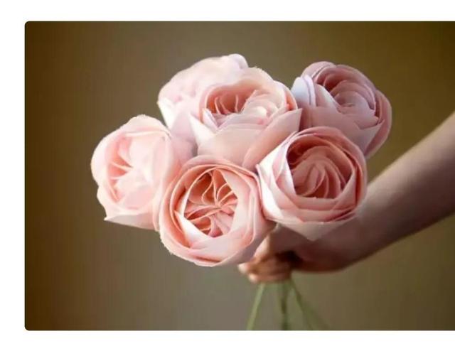 世界上最贵的花，世界上什么花最贵（世界上最贵的花你知道有多贵吗）