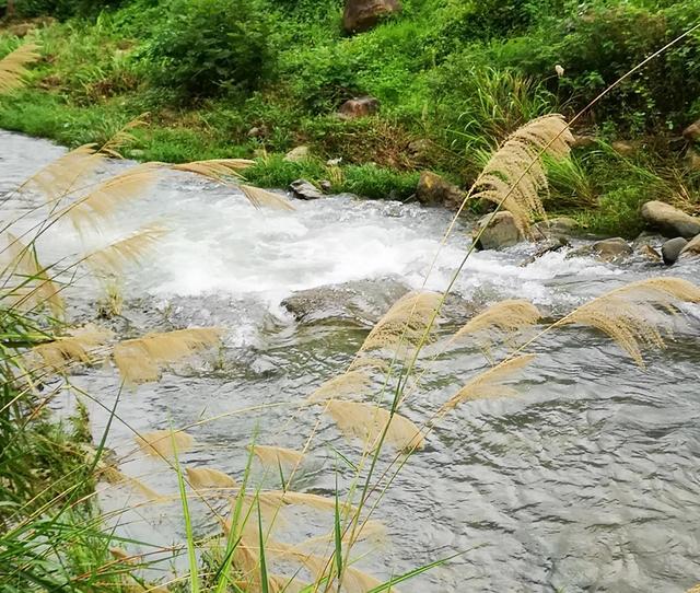 天台国清寺简介，天台山国清寺（天台国清寺）