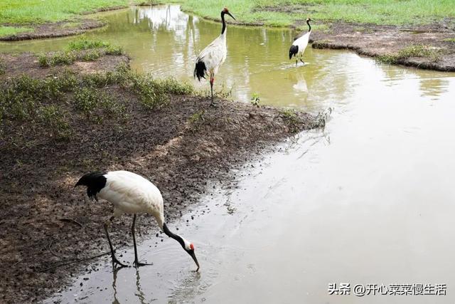 肇庆旅游景点，肇庆旅游景点大全景点排名（12个景点打卡大盘点）