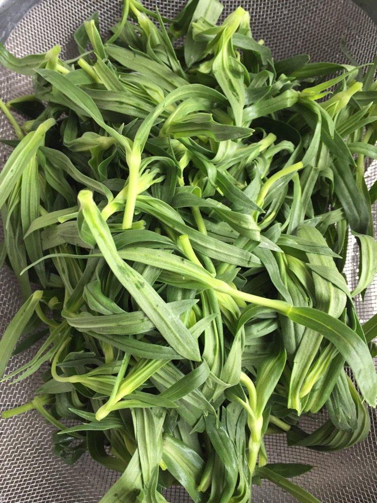 农村能吃的100种野菜图片,有哪些野菜可以吃 农村能吃的100种野菜图片,有哪些野菜可以吃