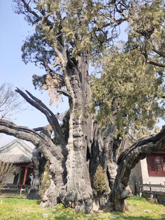 少林寺一日游攻略，少林寺一日游最佳线路（五岳之嵩山一日游攻略）