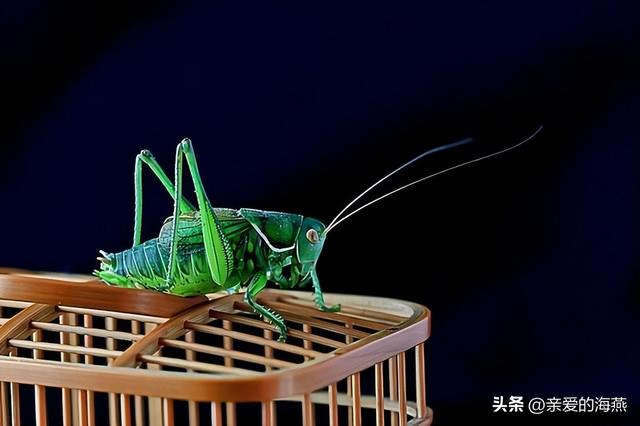 儿时的简易自制玩具，7080年代农村孩子自制49个纯天然玩具