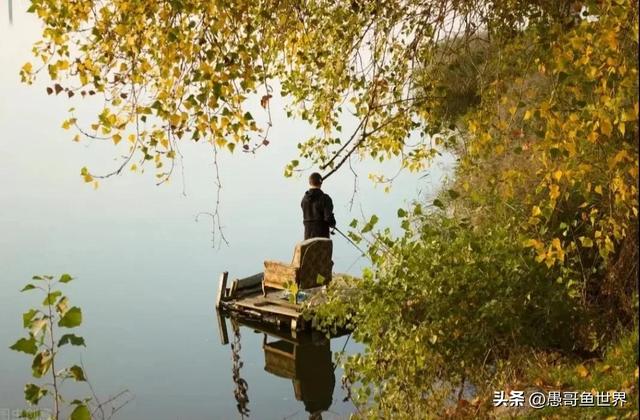 路亚可以钓鲤鱼和鲫鱼吗，路亚竿能钓鲫鱼草鱼鲤鱼吗（路亚不空军之“路亚鲫鱼”）