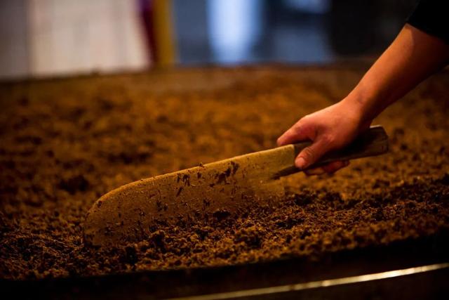 五粮液系列酒有哪些 五粮液白酒怎么样，五粮液系列酒有哪些（“大国浓香”各表其美）