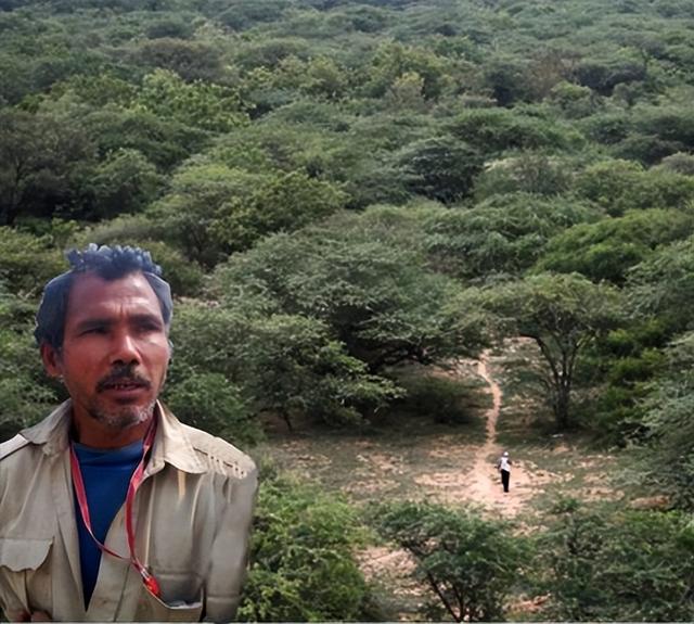 世界第一大树，世界四大草原（用双手在空旷的沙漠中种树）