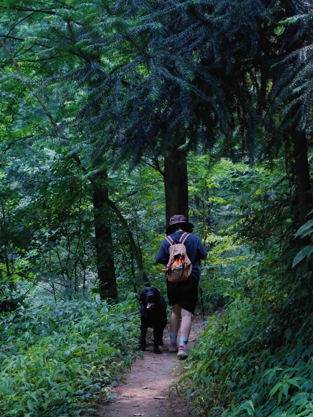 什邡市景点，什邡景点旅游景点（成都周边绝美“禁林”）