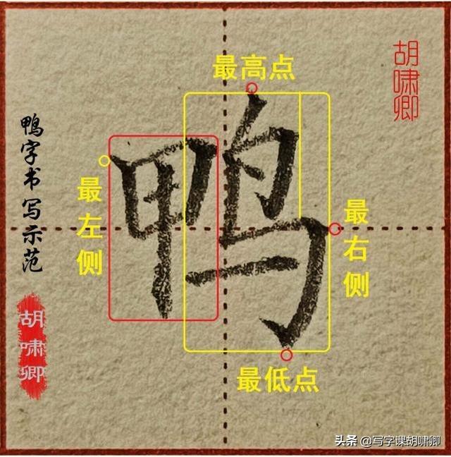 带有鸟字旁的字，鸟字旁的字大多和什么有关（图解结构、技法总结）