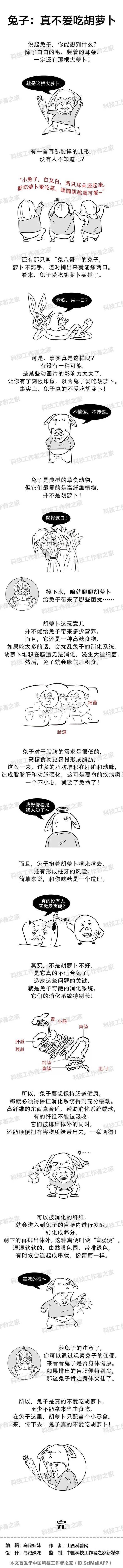 兔子爱吃胡萝卜，你知道兔子为什么吃胡萝卜吗（原来你真的不了解兔子）