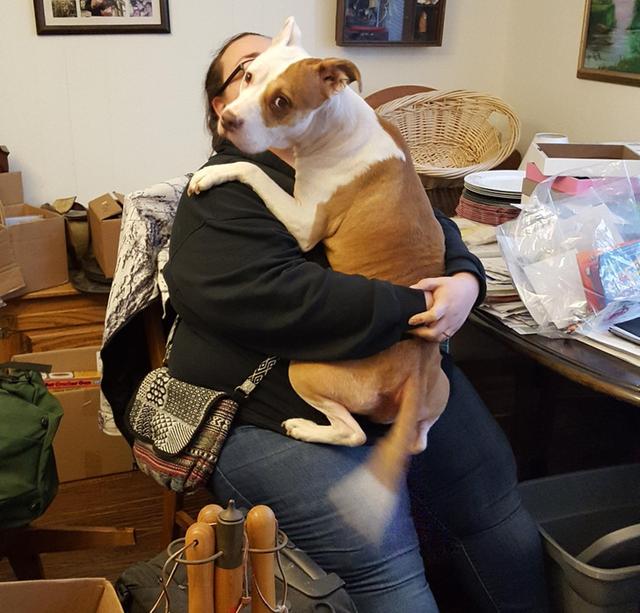 40张催人泪下的图片，父爱感人图片（15张证明“生活比电影更加感人”的照片）