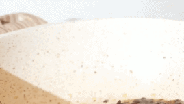 素肉怎么炒，炒肉片的做法（5块钱吃撑全家人）