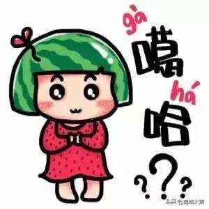 揍字读音及解释，揍怎么组词（戏说东北土词——揍）