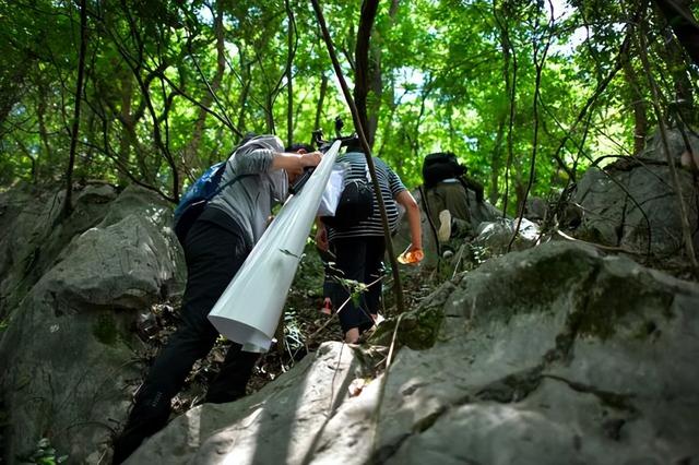 苏堤的由来， 这场山水间的文化体验之旅揭秘不为人知的千年城市历史
