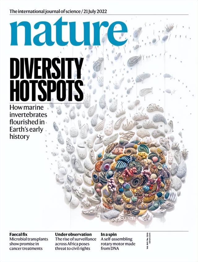 nature杂志下载，naturepdf下载（<20220721出版>一周论文导读）
