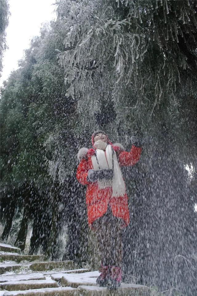 天台山旅游攻略，天台山旅游攻略大全（享受当下冬日的清闲与暖意）