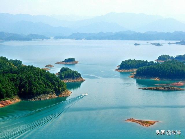 鳡鱼是什么鱼，鳡鱼是什么鱼在泗洪话里（鱼群资源“失而复现”）