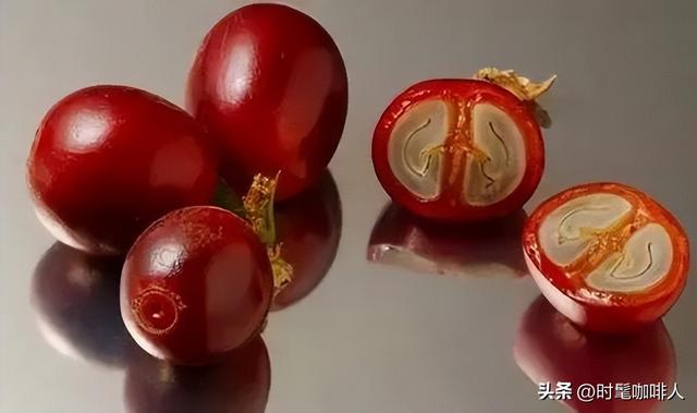 可可豆和咖啡豆的区别，可可豆和咖啡豆的区别成分（有没有人分不清楚）