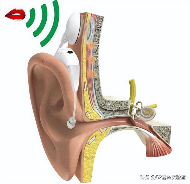 耳蜗的作用是什么，耳蜗的主要功能是什么（进口人工耳蜗30万）