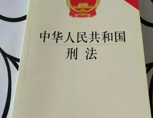 上海青浦1998年命案，1998年上海两名中介杀害俩老人