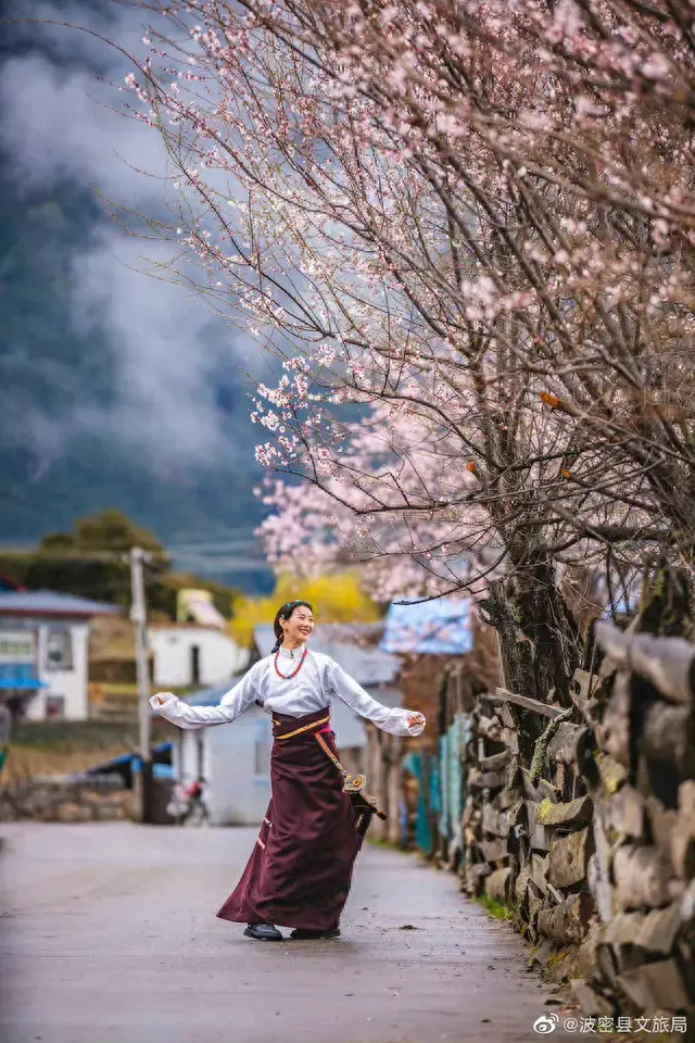 最新官宣！2023林芝桃花节，峡谷“桃”醉，开启西藏寻花之旅