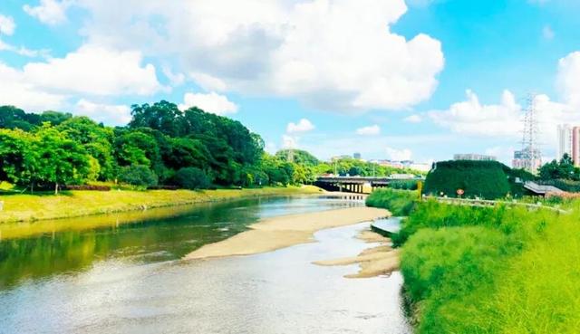 深圳哪里可以钓鱼，深圳哪里可以钓鱼野点更好高分哦（深圳这3个地方免费钓鱼）