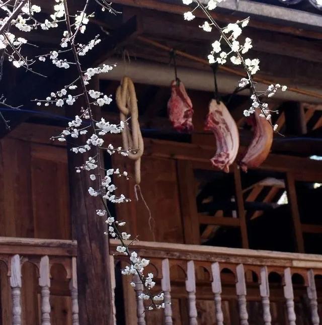 云南花海旅行记，春天，来云南与七彩花海相遇
