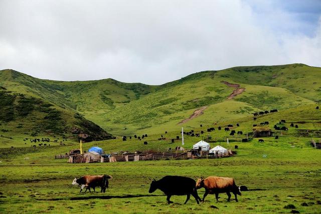 红军过草地是什么地方，爬雪山过草地路线图（红军当年长征走过的草地）