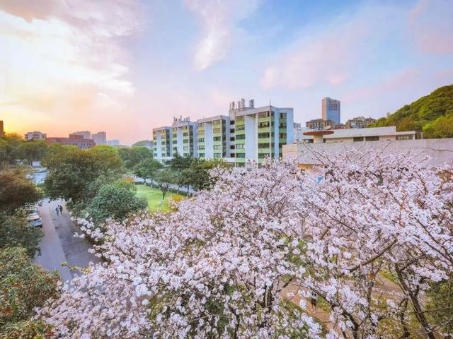 湖南大学专业排名，2020湖南大学专业排名（湖南大学开设全国第一个该专业）