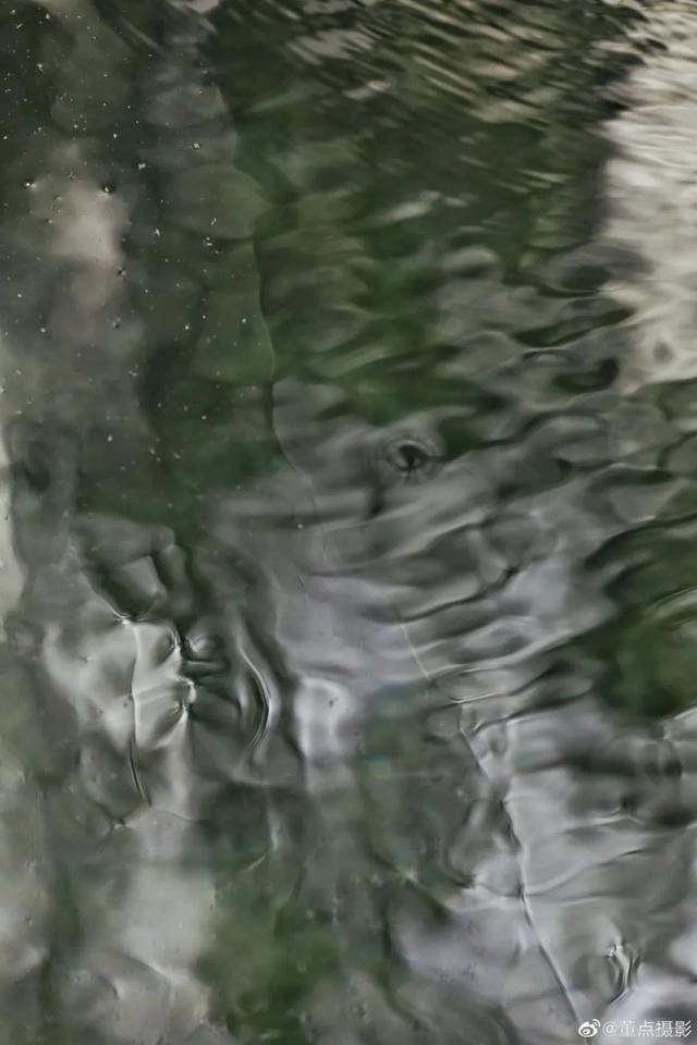 厦门趵突泉简介，厦门趵突泉景点简介（19年难得一遇的“双节合一”）