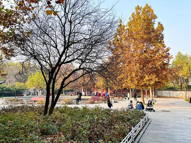 石家庄市水上公园，石家庄适合带孩子玩的地方（有种记忆，叫石家庄水上公园）