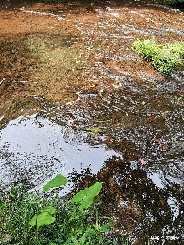 怎样游览邛崃天台山，去邛崃天台山（2022夏日自驾旅行体验）