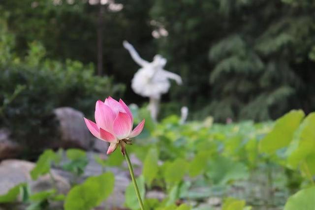 如何了解女人的内心，如何了解女人的内心并谈恋爱（当女人看透了男女之情的本质后）