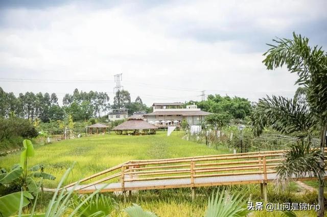 亲子游去哪里玩比较好，暑期亲子游（国内最具特色的十大亲子农场推荐）
