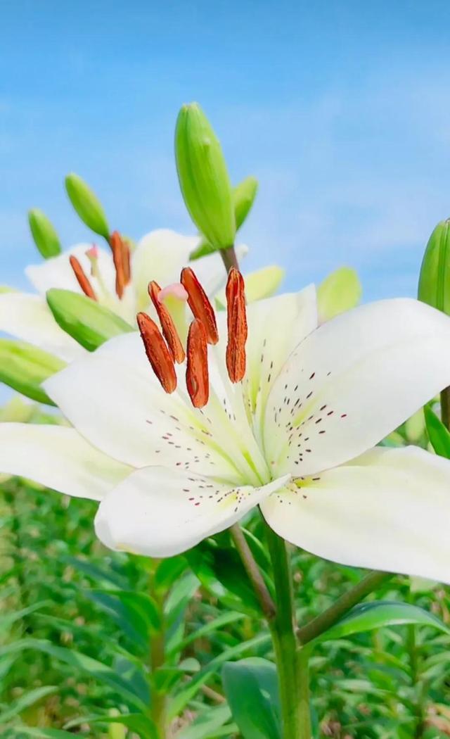 努力的意义是什么，努力的意义是什么图片（女人努力的意义是什么）