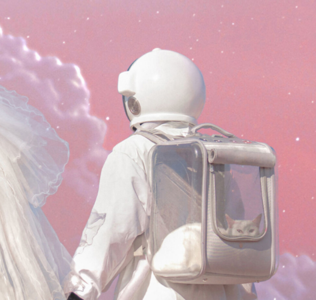 车窗背景图/花有重开日 人亦有重逢时，花有重开之日,人有重逢之时背景图（可以置顶的浪漫文案）