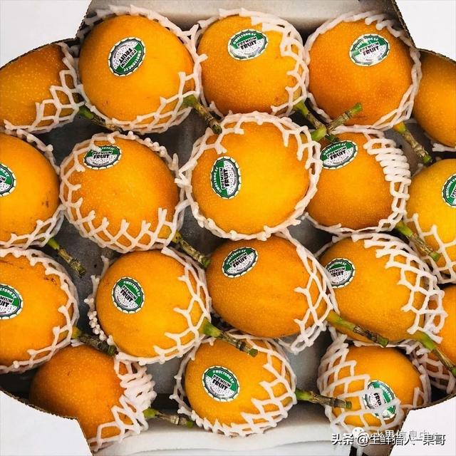 passion fruit是什么水果（土豪百香果，一斤100元）