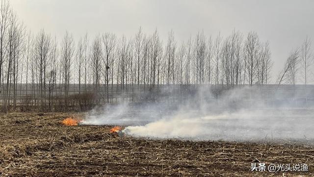 草木灰是什么肥料，草木灰是什么（农村人可能比专家更了解）