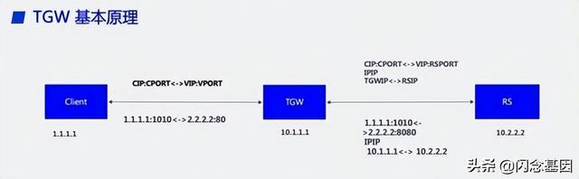 pps单位（基础原理入门）